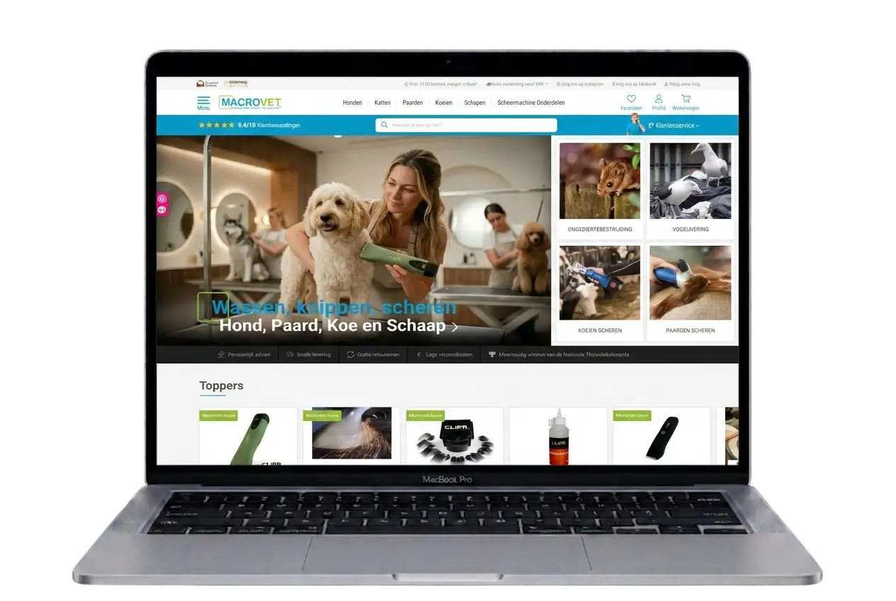 shopware development
