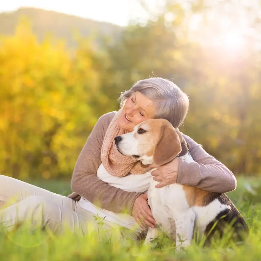 Health, wellness and pet supplies eCommerce